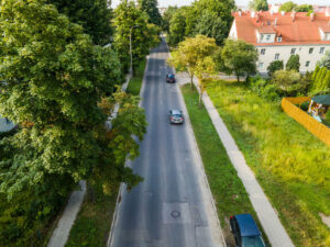 Gdańsk: startuje rewaloryzacja zieleni przyulicznej Starego Chełmu. Będą nowe nasadzenia