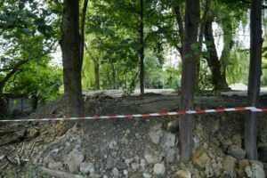 Zdewastowano zieleń w Katowicach. Miasto zawiadamia prokuraturę
