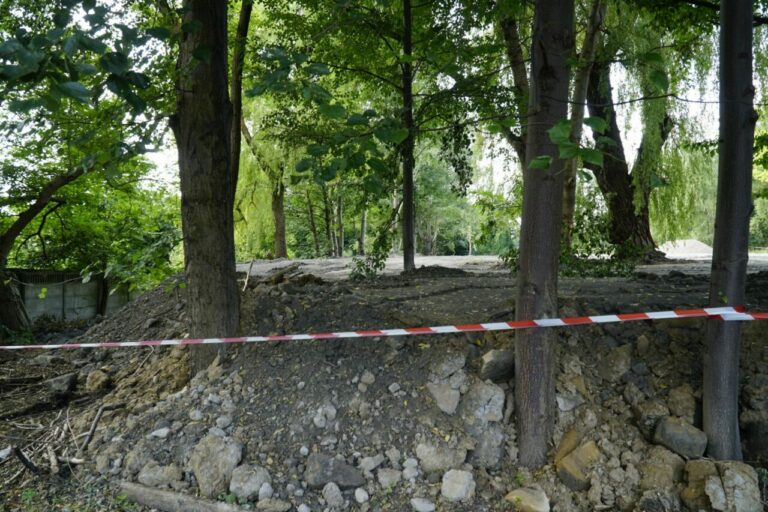 Zdewastowano zieleń w Katowicach. Miasto zawiadamia prokuraturę
