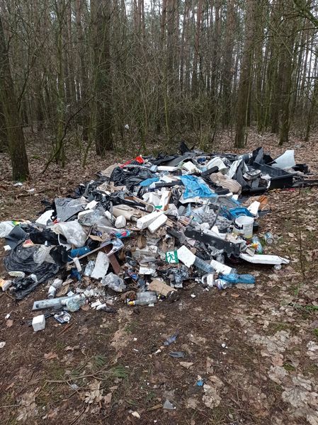 8,5 tys. zł grzywny za zaśmiecanie lasu