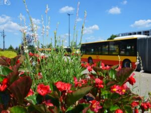 Warszawa zazielenia pętle tramwajowe i autobusowe