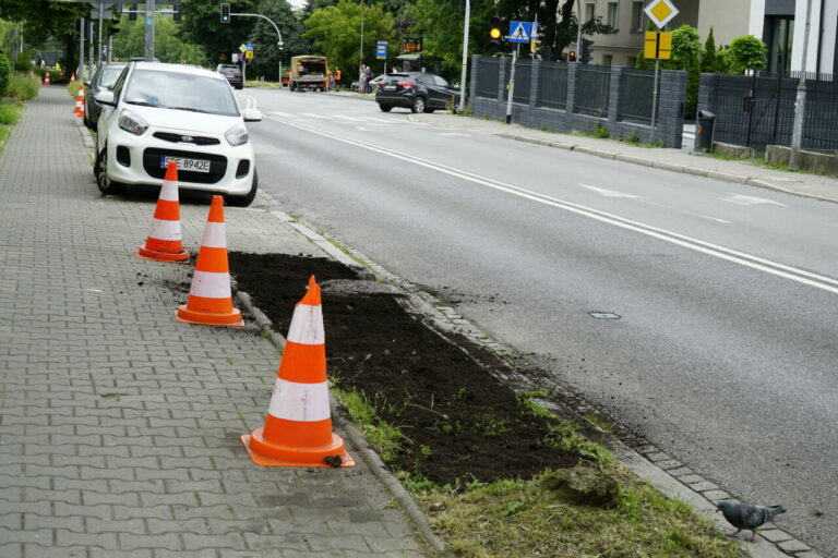Katowice rewitalizują rozjeżdżone zieleńce. To kolejny etap akcji 
