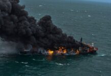 Setki martwych zwierząt na brzegach Sri Lanki. To skutek katastrofy statku
