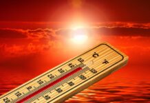 Blisko 70°C w Gdańsku. Czy tak musi wyglądać przyszłość w naszych miastach?