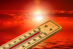 Blisko 70°C w Gdańsku. Czy tak musi wyglądać przyszłość w naszych miastach?