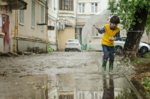 Czy zbieranie deszczówki to sposób na suszę i powodzie?