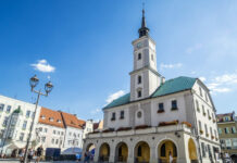 Za dużo zieleni na rynku w Gliwicach? Konserwator zabytków nie zaakceptował projektu