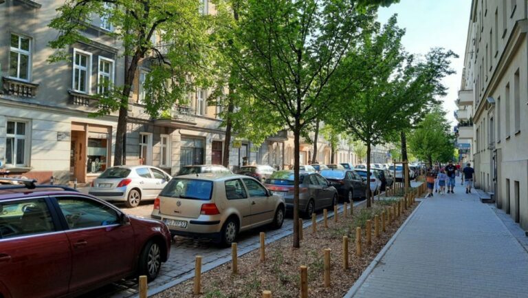 Nie wszędzie można sadzić drzewa, ale można miasto 