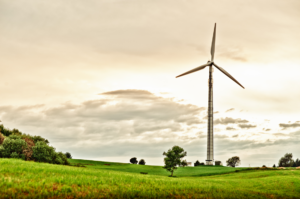 PSEW: Nie będzie Nowego Ładu bez energii z wiatru