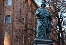Toruń: czy ochrona drzew na placu budowy będzie odtąd na wysokim poziomie?
