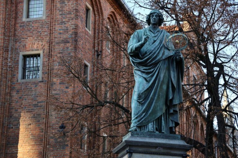 Toruń: czy ochrona drzew na placu budowy będzie odtąd na wysokim poziomie?