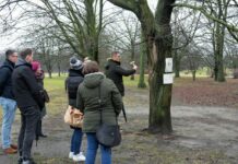 Warszawa. Żadne miejskie drzewo nie zniknie bez wiedzy mieszkańców