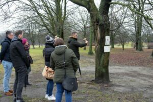 Warszawa. Żadne miejskie drzewo nie zniknie bez wiedzy mieszkańców