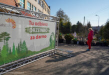 Białystok rozdał 9 tys. sadzonek drzew mieszkańcom