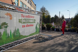 Białystok rozdał 9 tys. sadzonek drzew mieszkańcom