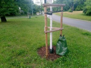 Kroploworki budzą kontrowersje
