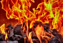 Przez wysokie ceny gazu Holendrzy kupują coraz więcej drewna opałowego