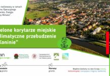 Zielone korytarze powstaną w Koninie