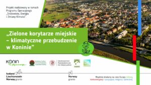 Zielone korytarze powstaną w Koninie