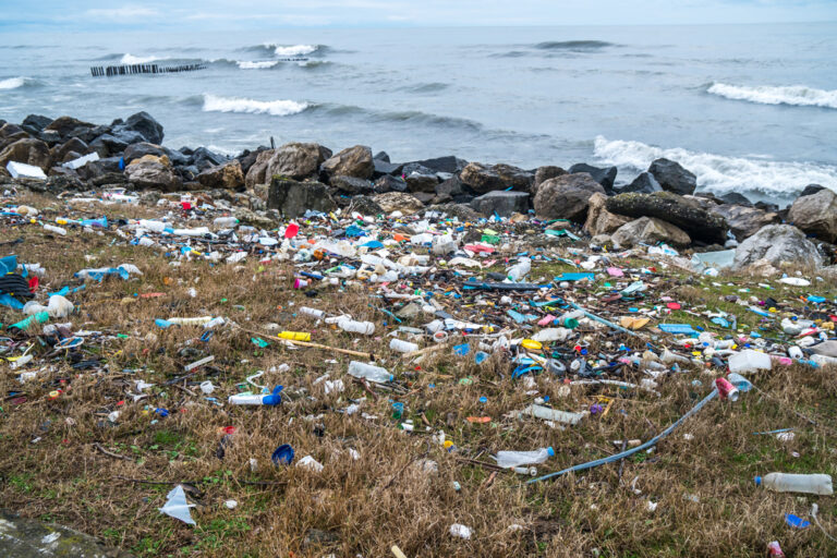 Tysiące ton śmieci zalegają na plażach i ulicach [FILM]