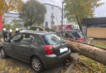 Kujawsko-pomorskie: Przeszło 1600 zgłoszeń w związku silnym wiatrem
