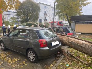 Kujawsko-pomorskie: Przeszło 1600 zgłoszeń w związku silnym wiatrem