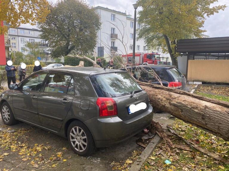 Kujawsko-pomorskie: Przeszło 1600 zgłoszeń w związku silnym wiatrem