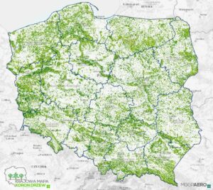 Ponad 3,3 mld koron drzew w Polsce na jednej mapie on-line
