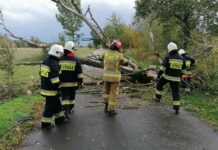 Lubuskie: 960 interwencji PSP związanych z wichurą