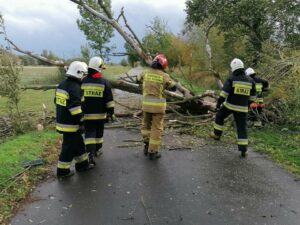 Lubuskie: 960 interwencji PSP związanych z wichurą