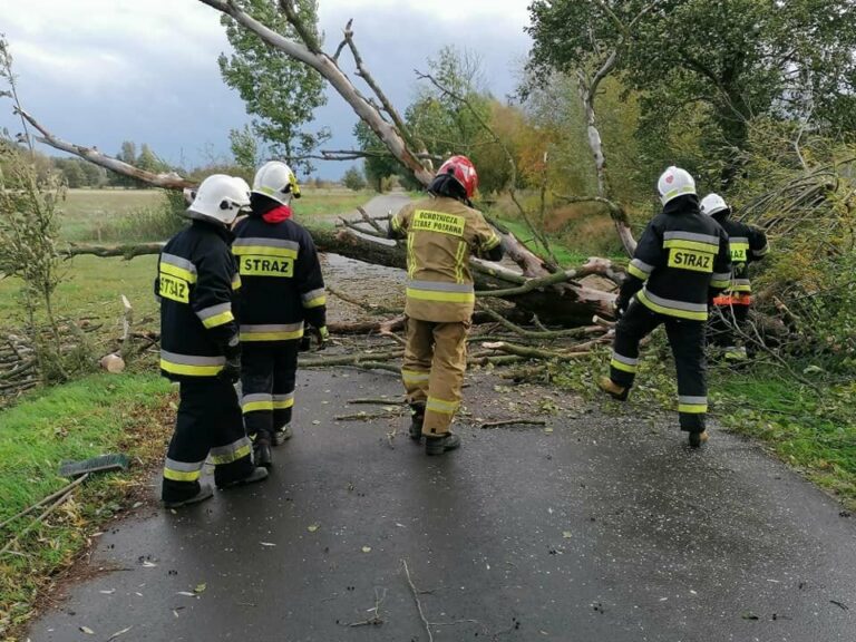 Lubuskie: 960 interwencji PSP związanych z wichurą
