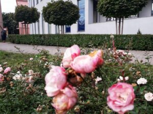 Lublin jesienią stawia na zieleń