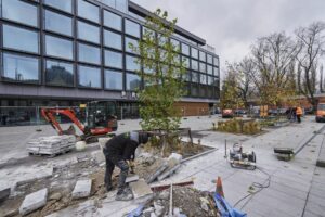 Biznes walczy z betonozą w Łodzi