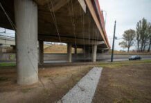 Łódź: Pierwsze zielone estakady. Zamiast betonu będą pnącza