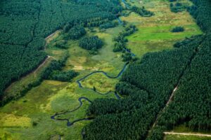 Sejmowa komisja przeciw poprawkom do projektu nowelizacji ustawy o lasach i ustawy o ochronie przyrody