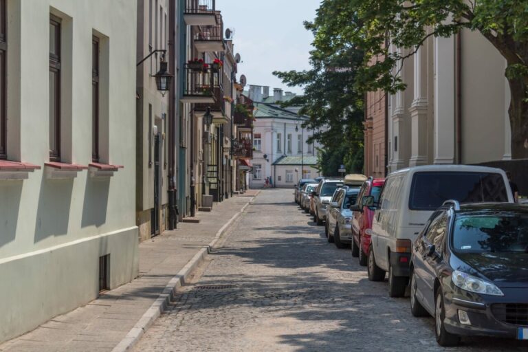 Usuwanie drzew to ostateczność. Oto nowy kodeks ochrony zieleni w Płocku
