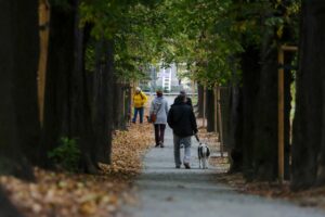 Świdnica: więcej roślinności w Parku Młodzieżowym