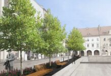 Gliwice: nowe drzewa i krzewy na Rynku