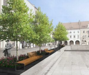 Gliwice: nowe drzewa i krzewy na Rynku