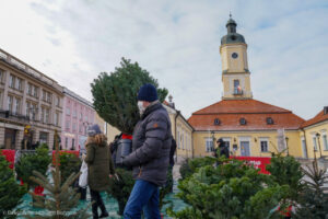 Białystok: Miasto rozdaje choinki