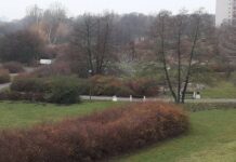 Poznań. Deszczówka z dachu zasili stawy na Chartowie