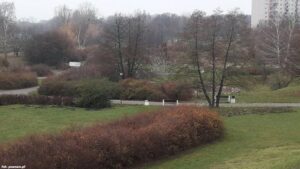 Poznań. Deszczówka z dachu zasili stawy na Chartowie