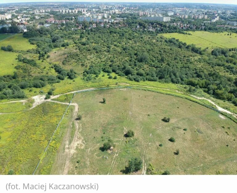 Lublin: WSA stwierdził niezgodność z prawem uchwały rady miasta w sprawie Górek Czechowskich. Ratusz zapowiada skargę kasacyjną
