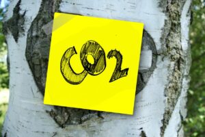 Polska sprzedała uprawnienia do emisji CO2 za ponad 250 mln euro