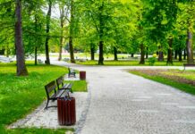 Naturalna zieleń miejska a zmiany klimatu