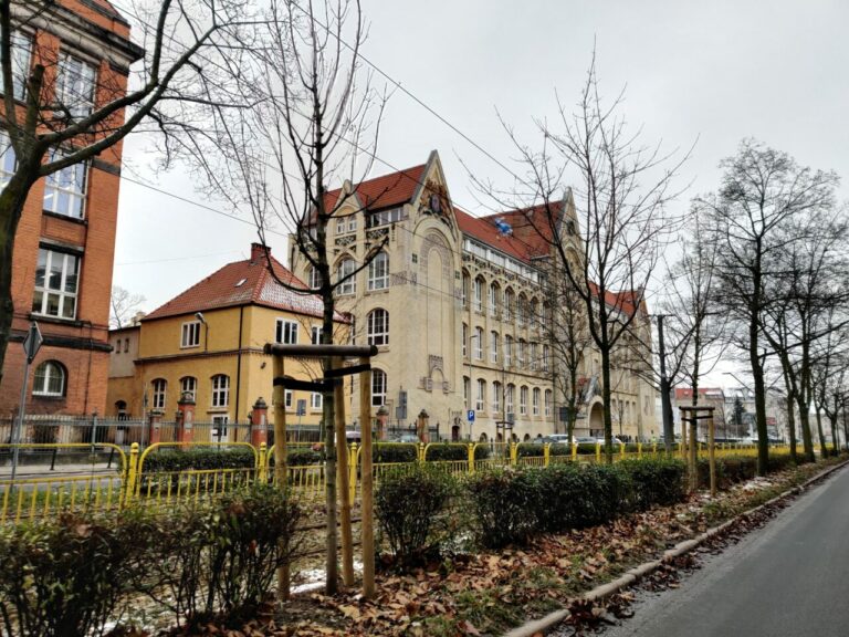 Pół tysiąca drzew pojawi się w Szczecinie