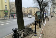 Lublin: rozbiórka kostki brukowej pod nowe nasadzenia