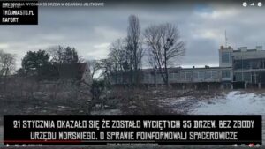 Wycinka drzew w Jelitkowie - prezydent Gdańska składa zawiadomienie do prokuratury [FILM]