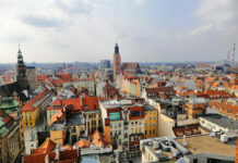 Poznań chce być bardziej zielony