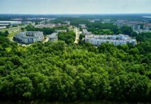 Ekoplany Łodzi na 2022 rok
